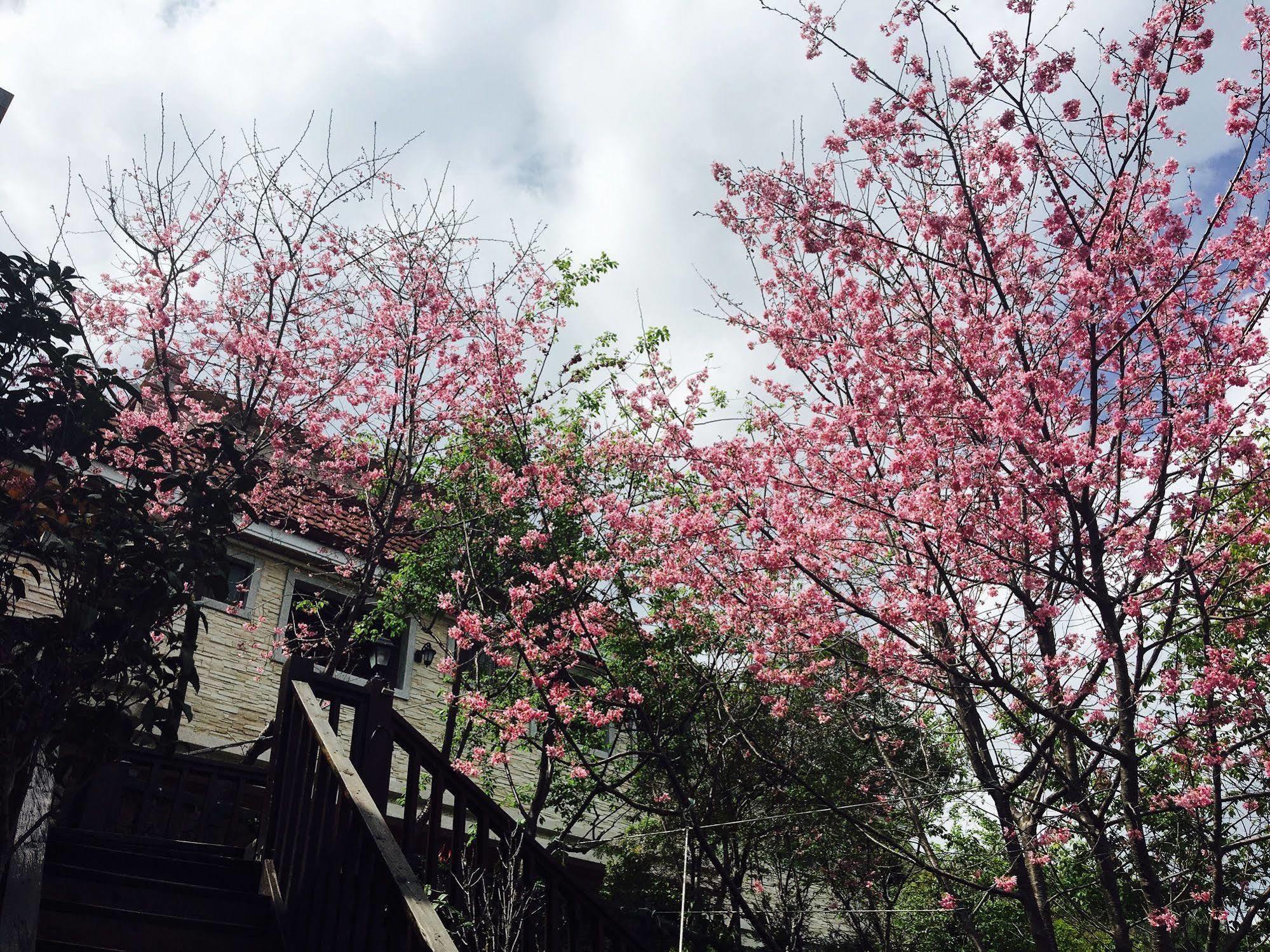Spring Ground Resort Ren'ai Exterior photo